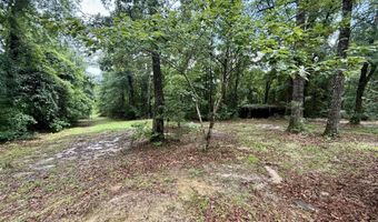 1551 Buckatunna Chicora Clara Rd, Buckatunna, MS 39322