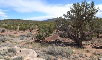 32 N8544 398, Concho, AZ 85924