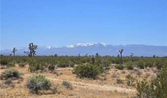10 Beaver Avenue Acres, Adelanto, CA 92301