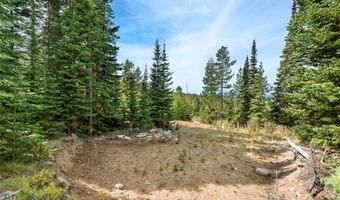 NHN Miners Road, Anaconda, MT 59711