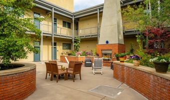 361 Robinson St 308, Basalt, CO 81621