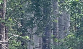 0- Lot 5 Piney Mountain Rd, Appomattox, VA 24522