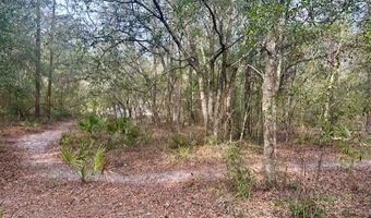 NW 11th Ave, Bell, FL 32619