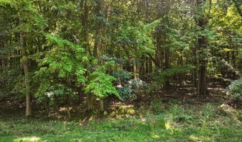 Lot 58 Badger Ct, Arkdale, WI 54613