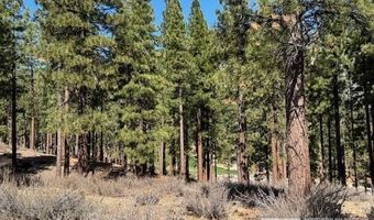 194 Cartwright Ct Lot 244, Carson City, NV 89705