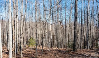 1306 Double KNob Dr, Arden, NC 28704