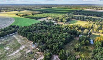 4654 NW 45th Ave, Bell, FL 32619