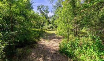 5301 NW COUNTY ROAD 235, Alachua, FL 32615