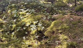 Thorn Hill Road lot 406/22, Bethlehem, NH 03574