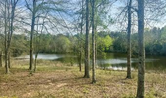 656 CR 12, Bay Springs, MS 39422