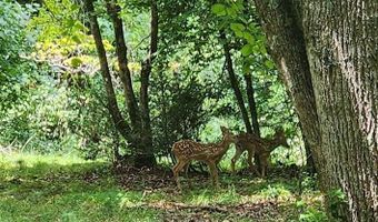 2767 Tanasee Gap Rd, Balsam Grove, NC 28708