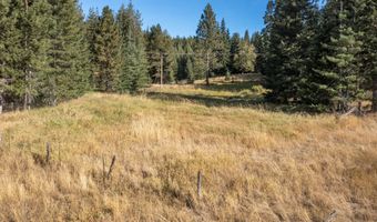 2376 Little Blacktail Rd, Careywood, ID 83809