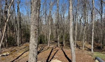 ES71 Twisted Oak Path, Banner Elk, NC 28604