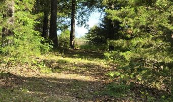 7011 County Road 429, Ava, MO 65608