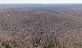 Tuska Drive, Ash Flat, AR 72513