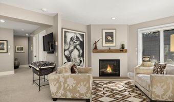 1145 Black Birch Dr, Aspen, CO 81611