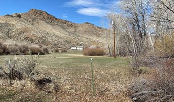 4585 Garden Creek Rd, Challis, ID 83226