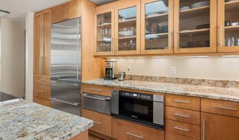 1020 E Hopkins Ave 9, Aspen, CO 81611