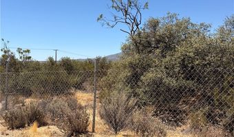 90002 Wellman, Anza, CA 92539