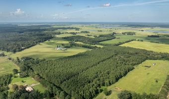 Jolene Road, Basile, LA 70515
