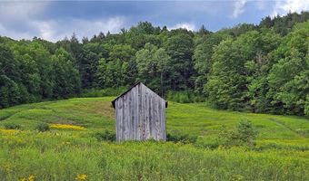 Shaver Hollow, Andes, NY 13731