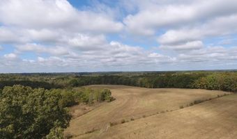 County Road 113, Alton, MO 65606