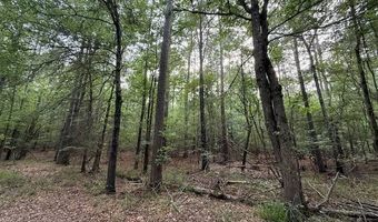 Airport Rd, Bastrop, LA 71220
