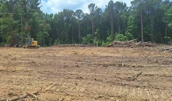 709 Old Pinola Braxton Rd, Braxton, MS 39044