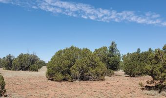 17 County Road 8077, Concho, AZ 85924