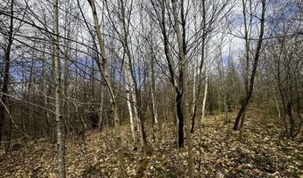 0 Burke Green Rd 2, Burke, VT 05832