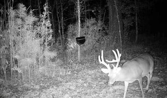 0 Progress Road Rd, Beaumont, MS 39423