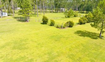 634 Alapaha River Dr, Alapaha, GA 31622