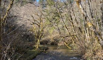 Steer Creek Rd, Blodgett, OR 97326