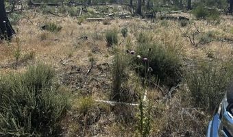 Wren Drive lot 5, Bonanza, OR 97623