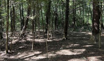 0 CR 4236, De Kalb, TX 75559