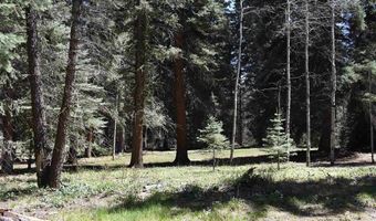 Vallecito Pl, Bayfield, CO 81122