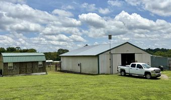 3305 Hustleville Rd, Albertville, AL 35951