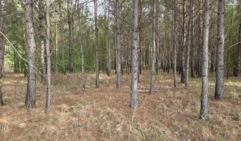 5328 County Line Rd, Andrews, SC 29510