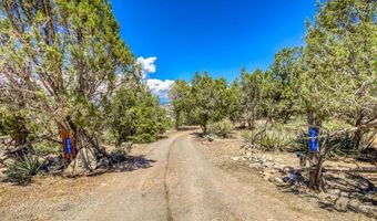 261 Pinon Hills Cir, Arboles, CO 81121