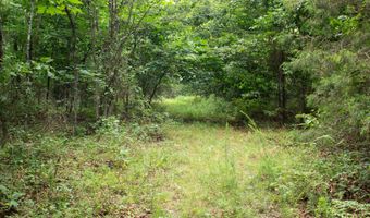 3899 County Road 304, Alton, MO 65606