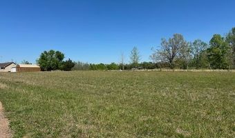 PEAR BLOSSOM Ln lot 10 And 11, Adamsville, TN 38310