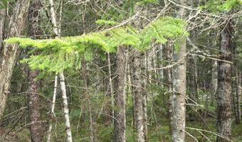 Cummings Lane, Acton, ME 04468