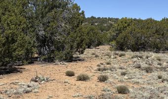 Tbd CR 8060, Concho, AZ 85924