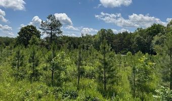 Mini Ball Lane, Appomattox, VA 24522