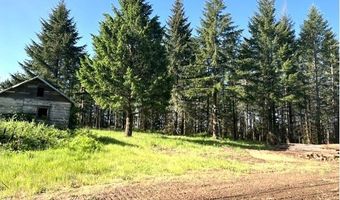 NW Lodge Rd, Banks, OR 97106