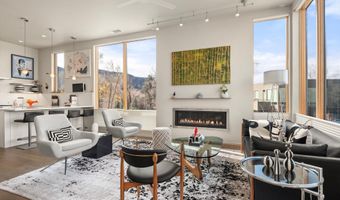 103 Willits Way 204, Basalt, CO 81621