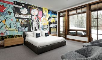 289 Exhibition Ln, Aspen, CO 81611