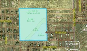 Chukar Lane, Battle Mountain, NV 89820