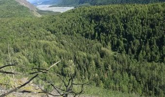 51900 W Glenn Hwy, Chickaloon, AK 99674