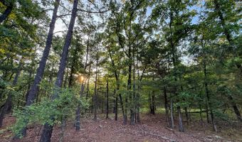Old Moyers Road, Antlers, OK 74523